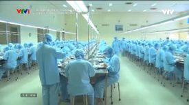 [VTV1] Phóng sự Doanh nghiệp - Doanh nhân: Chuyển động của ngành du lịch năm 2022