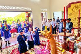 Tôn vinh ngành nghề yến sào