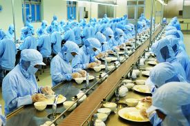 Phê duyệt đề tài xây dựng quy trình sản xuất sản phẩm từ tinh chất yến sào thiên nhiên Khánh Hòa
