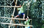 Hoạt động khoa học và công nghệ: Góp phần tích cực vào sự phát triển kinh tế - xã hội của tỉnh