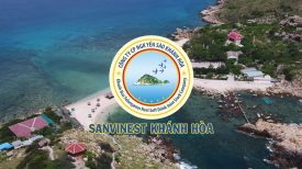Những hoạt động đáng chú ý của Công ty Cổ phần Nước giải khát Yến sào Khánh Hòa nằm trong chuỗi sự kiện Festival Biển Nha Trang - Khánh Hòa 2023