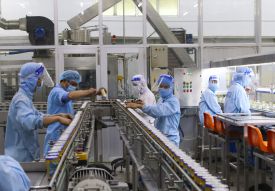 Công ty Cổ phần Nước giải khát yến sào Khánh Hòa: Cổ tức tăng vượt trội