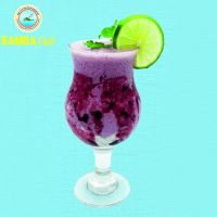 Yogurt việt quất