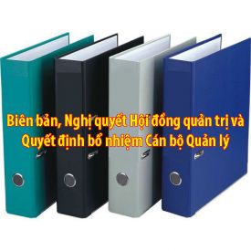 SKV. Biên bản, Nghị quyết HĐQT và Quyết định bổ nhiệm Cán bộ Quản lý