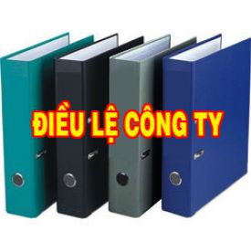 SKV. Điều lệ Công ty