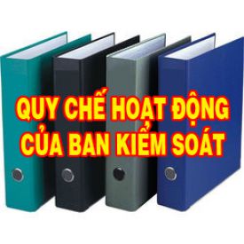 SKV. Quy chế hoạt động của Ban Kiểm soát